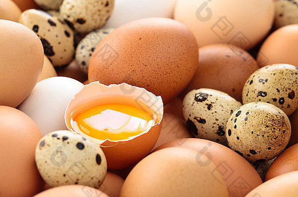 新鲜鸡蛋。