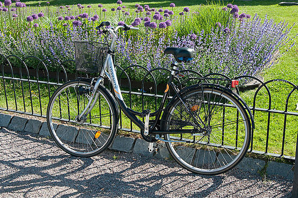 斯德哥尔摩查尔斯国<strong>王</strong>（<strong>卡</strong>尔）十二世托格公园的自行车