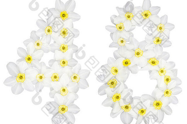 数字48，48，取自水仙（narcissus）的天然白色花朵，在白色背景上分离