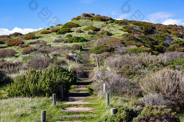 楼梯哈雷特湾木板路圆锥形的帽子岩石形成南澳大利亚6月
