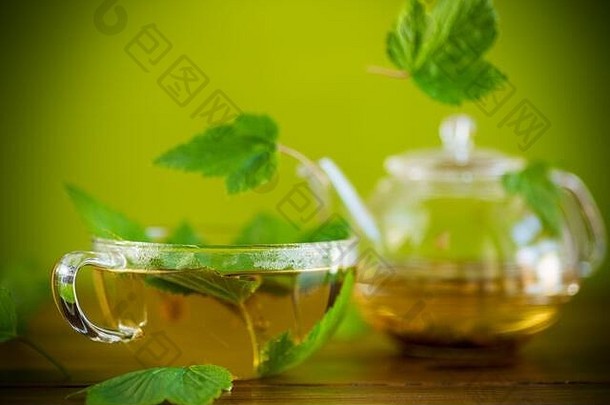 夏天让人耳目一新有机茶醋栗叶子玻璃茶壶