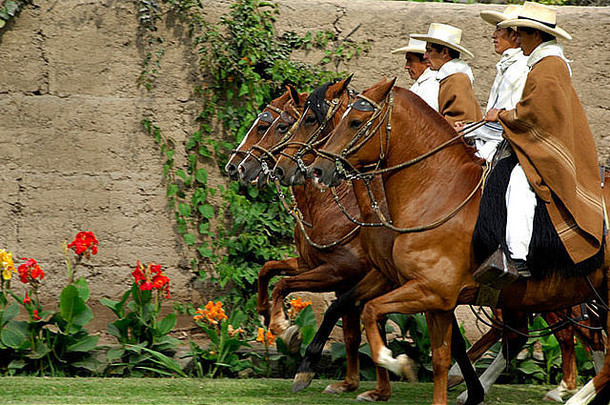 南美洲、秘鲁、利马。历史悠久的秘鲁帕索马牧场，查克拉-特雷斯-卡纳斯。马匹和骑手排成队形。