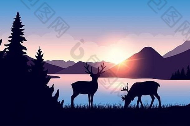 日出时，两只麋鹿在森林的河边吃草