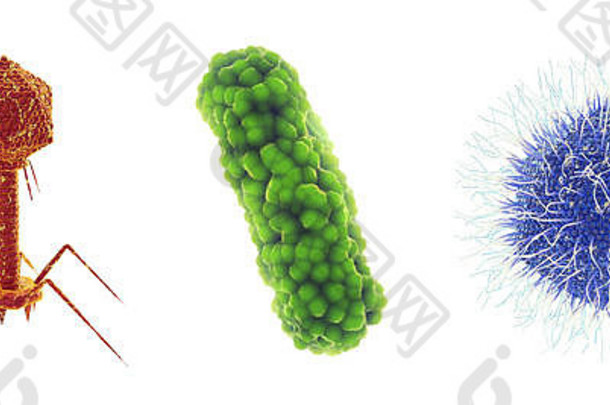 噬菌体病毒，细菌和拟态病毒，一组引起传染病的微生物，在白色、病毒和细菌感染的地方分离