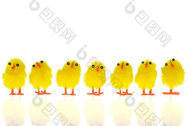 行黄色的复活节小鸡孤立的白色背景