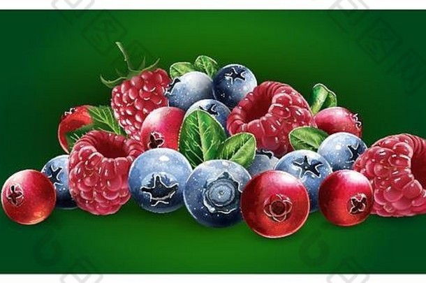 覆盆子、小红莓、蓝莓和草莓