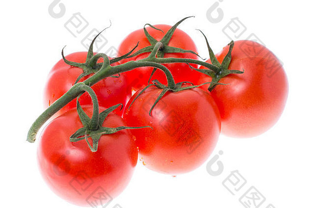 分支红色的成熟的西红柿孤立的白色背景