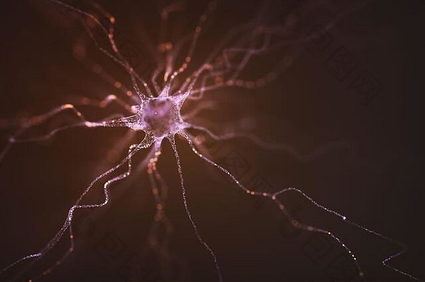 概念上的图像神经元精力充沛电负责概念科学研究人类大脑插图