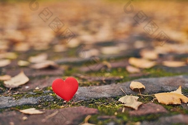 心秋天路径无回报的片面的爱孤独概念象征无回报的爱受害者情人节一天美丽的秋天引入