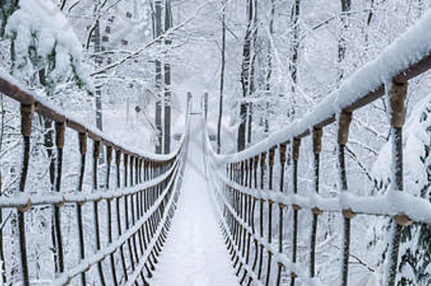 雪冬天森林挂起绳子桥雪冷杉树行路径桥罗塔施泰格邵尔兰德国