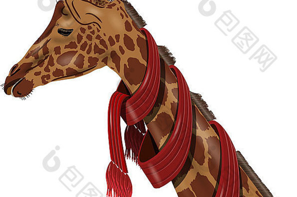 插图长颈鹿红色的围巾