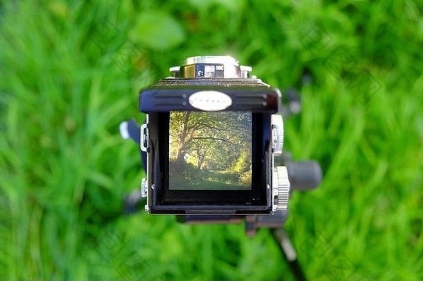 在某片林地，通过老式双镜头<strong>相机</strong>腰部水平取景器俯视