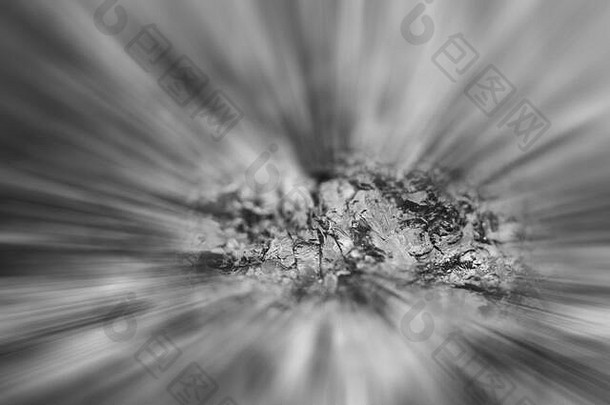 黑白摄影。美丽的黑白水晶和抽象光线背景。宏。
