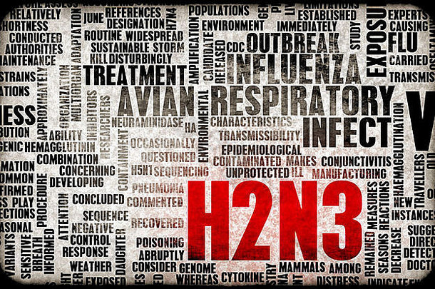 H2N3概念作为医学研究<strong>课题</strong>