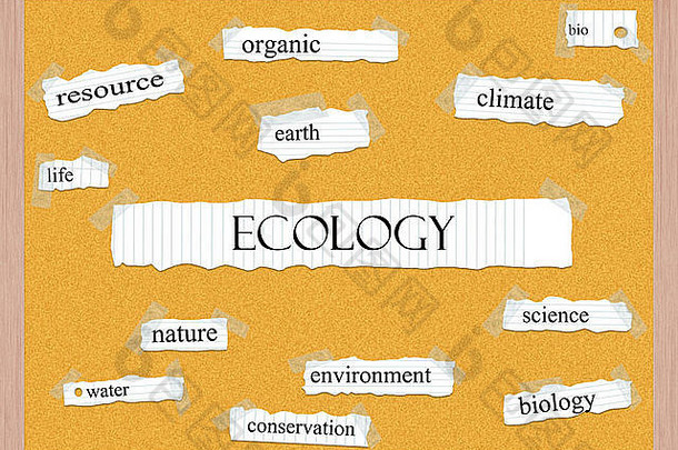 生态是一个非常重要的概念，包括气候、生命、有机物等等。