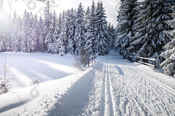 捷克共和国杰森基山冬季山地景观，带越野滑雪道