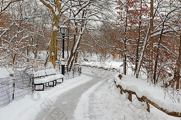 暴风雪后的弓桥，位于纽约市曼哈顿中央公园