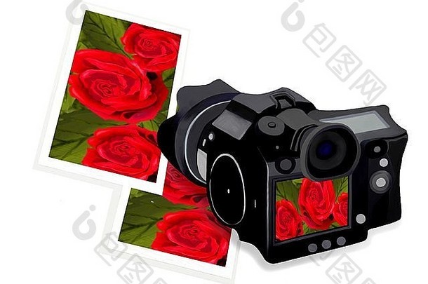 一个带有照片和相框的照相机，显示红玫瑰的图片