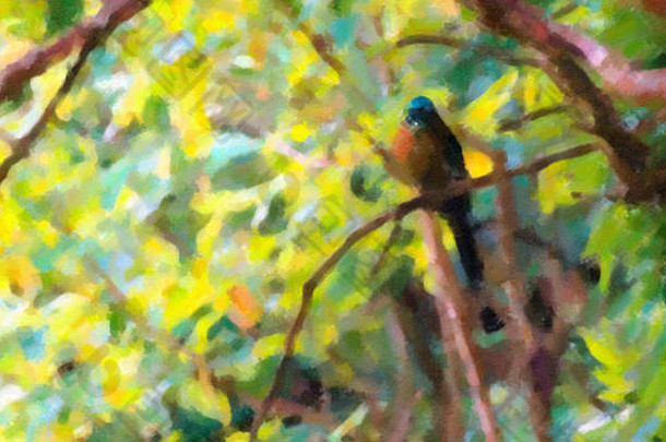 数字石油效应莫特鸟栖息在哥斯达黎加蒙特维德森林的树枝上