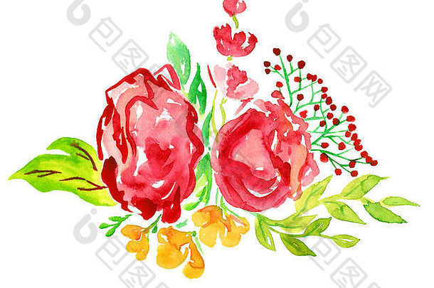 带有浆果、黄色花朵和叶子的红玫瑰，现代风格的独立手绘水彩画插图（软点）