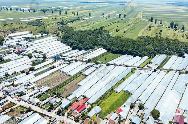 空中无人机视图农业蔬菜字段种植园温室