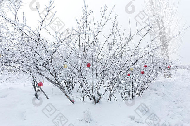 冷杉树枝上的红色圣诞球。冬季景观。