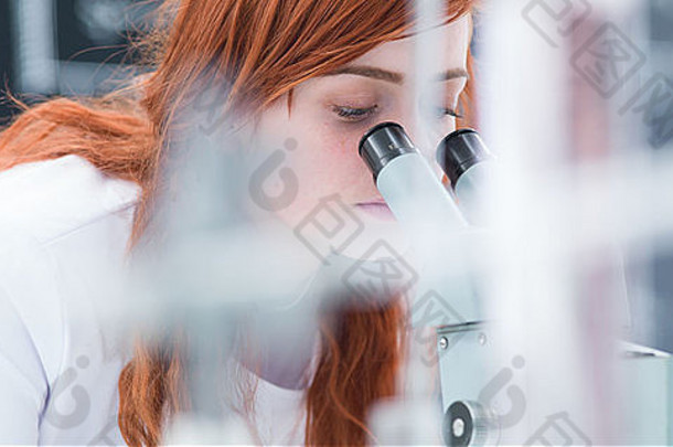 化学实验室学生在显微镜下分析的模糊宏观视图