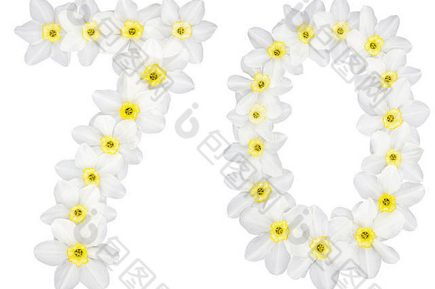 数字<strong>七</strong>十年自然白色花水仙花那喀索斯孤立的白色背景