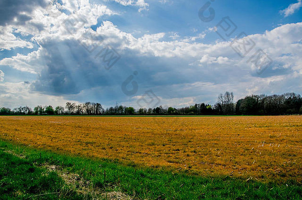 欧洲的绿色和黄色田野