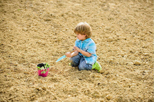 田间种植。花园里的小帮手。男孩在田里种花，在地上挖土。在农场工作。自然母亲的概念。种苗。孩子玩小铲子和花盆里的植物。