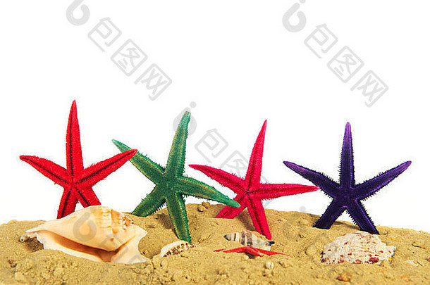 色彩斑斓的海星类站沙子海滩