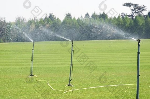 灌溉水龙头喷涂草坪上