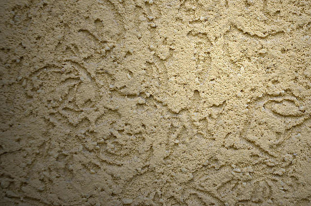 纹理米色装饰石膏树皮甲虫风格俄罗斯变异装修外观墙