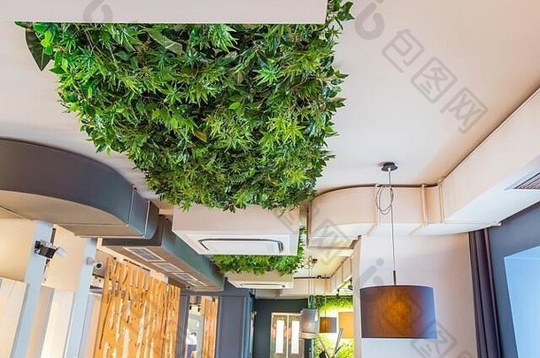 很多绿色叶子天花板设计咖啡馆咖啡商店