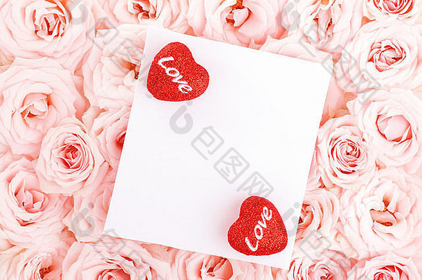 粉红色的新鲜的玫瑰背景红色的心孤立的空白问候卡爱概念