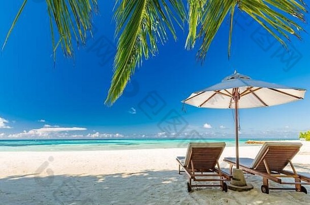 美丽的马尔代夫岛海滩景观。豪华度假酒店，带椅子和雨伞，适合暑假和假日背景。异国情调的热带海滩
