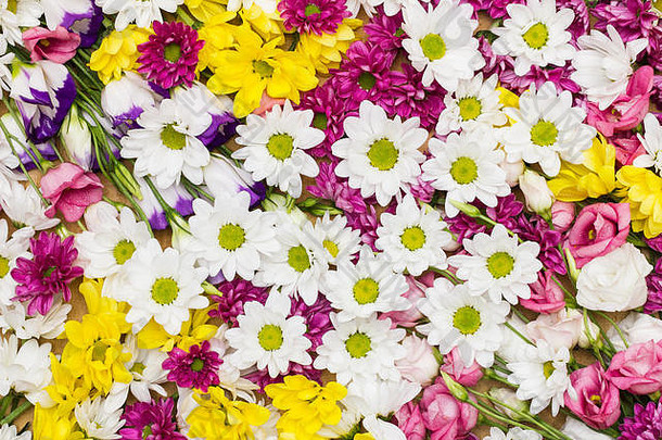不同的花朵排列成美丽多彩的自然<strong>背景图</strong>像，白色、黄色和<strong>粉色</strong>花朵-全画幅平面摄影
