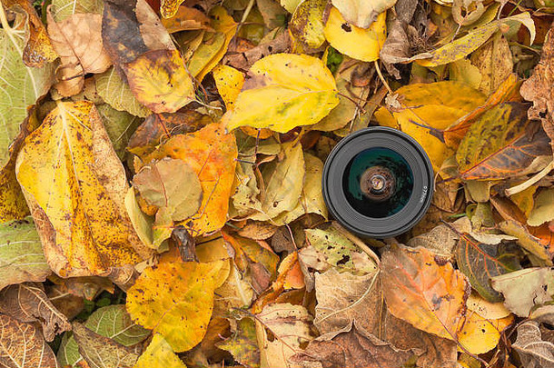 秋天，彩色树叶背景上的照相机镜头