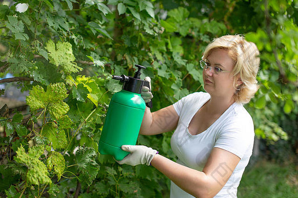 金发女人在室外喷洒葡萄园，植物保护