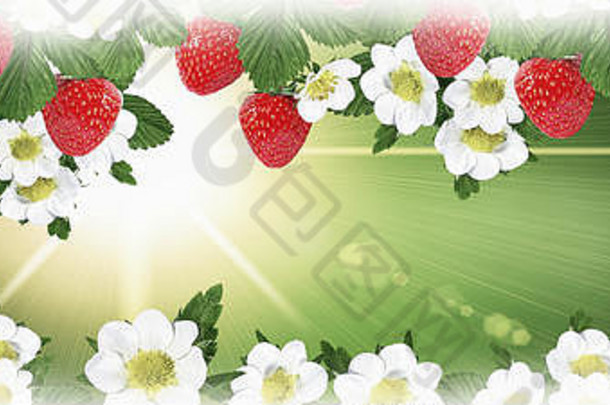 成熟的草莓自然背景