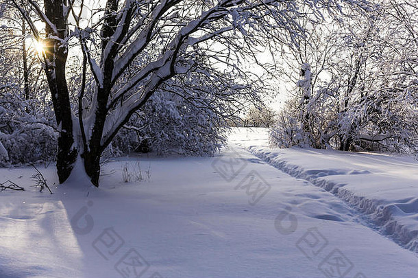 降雪trailway清洁白色雪公园树覆盖雪网站雪自然天气季节灾难