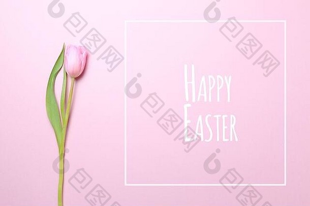 粉色背景上点缀着粉色郁金香的复活节快乐字样。平面布置，俯视图。水平的