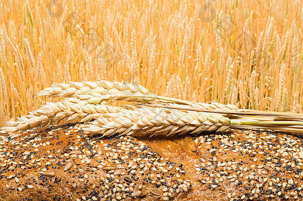 面包和<strong>小麦</strong>谷类作物。背景上的谷物作物