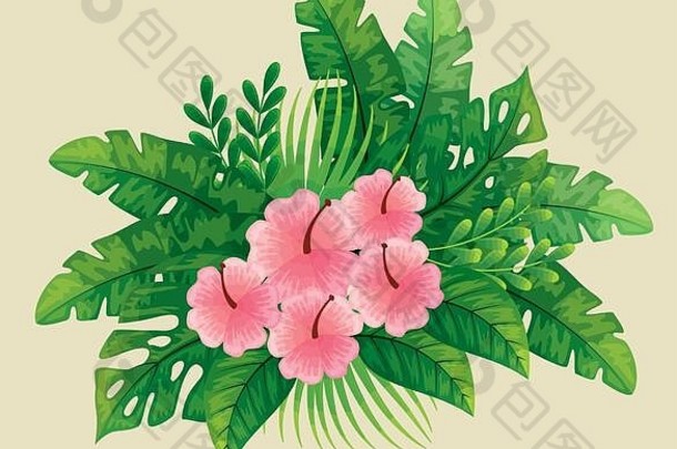 可爱的花朵粉色，热带树叶自然
