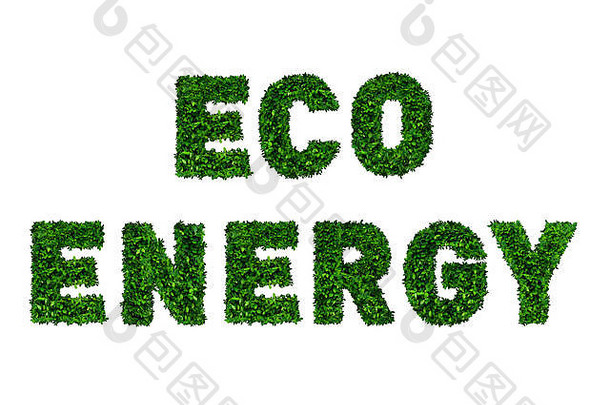 生态能源，用于白色背景上的绿叶