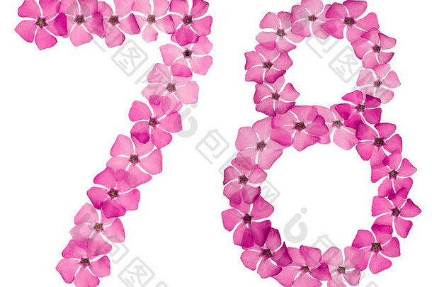数字78，78，取自长春花的天然粉红色花朵，在白色背景上分离