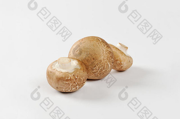 罗马褐蘑菇