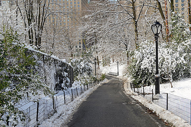 雪中中央公园，纽约曼哈顿