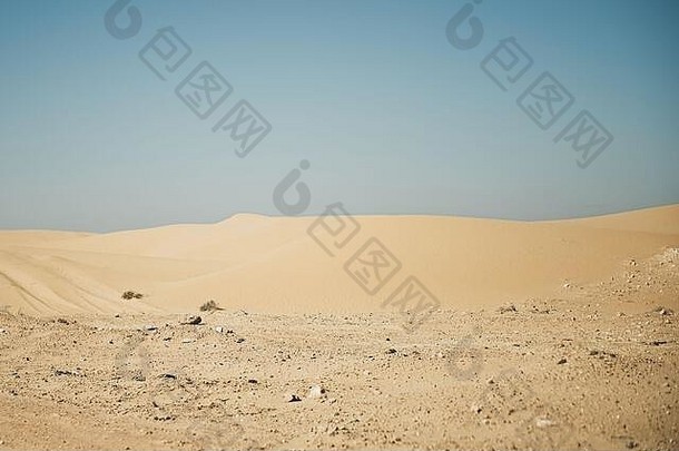 撒哈拉沙漠西非的沙丘。