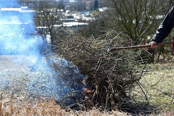 农民在春天焚烧旧树叶和树枝